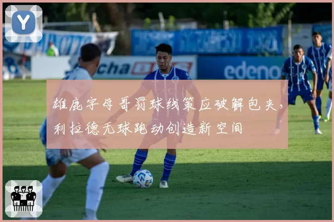 雄鹿字母哥罚球线策应破解包夹，利拉德无球跑动创造新空间