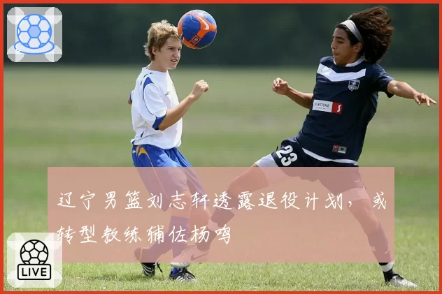 辽宁男篮刘志轩透露退役计划，或转型教练辅佐杨鸣