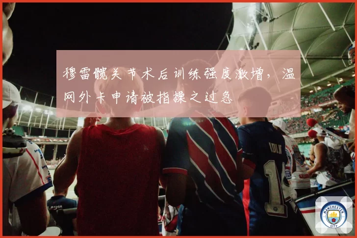 穆雷髋关节术后训练强度激增,温网外卡申请被指操之过急