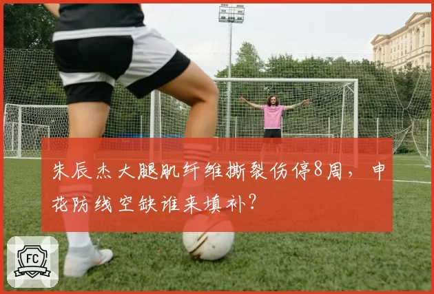 朱辰杰大腿肌纤维撕裂伤停8周，申花防线空缺谁来填补？