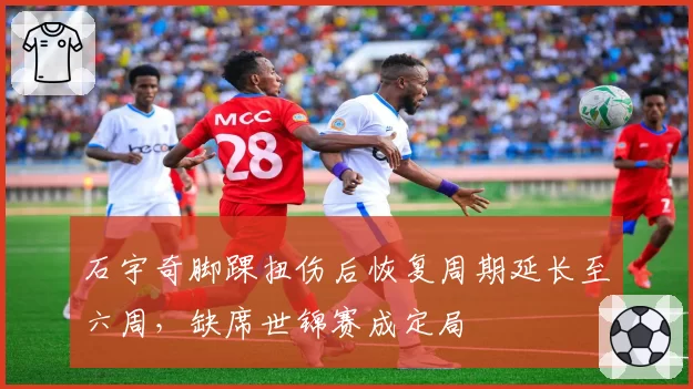 石宇奇脚踝扭伤后恢复周期延长至六周,缺席世锦赛成定局