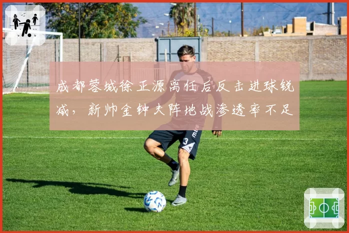 成都蓉城徐正源离任后反击进球锐减,新帅金钟夫阵地战渗透率不足20%